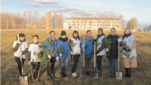 Активисты Молодой Гвардии Козловского района организовали экологическую акцию "Посади дерево"