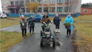 Провели субботник по посадке деревьев