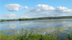 Гимназисты призёры республиканского конкурса фотографий «По страницам лета»