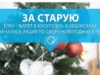 За старую елку - билет в зооуголок: в Чебоксарах началась акция по сбору новогодних елей