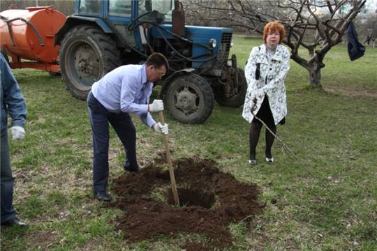 Депутаты внесли свой вклад в озеленение города