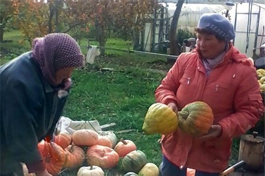 Каждому нуждающемуся – конкретная помощь