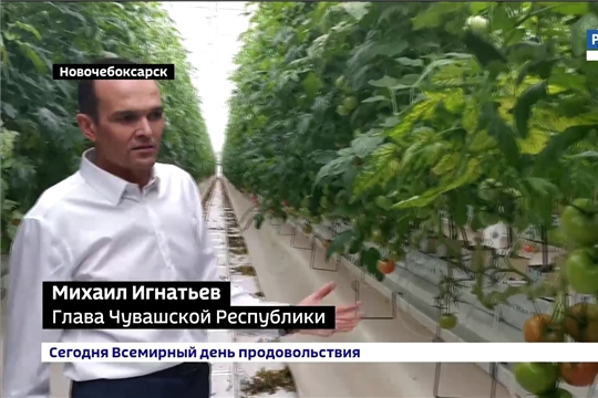 Тепличный комплекс в Новочебоксарске торжественно откроют 1 ноября