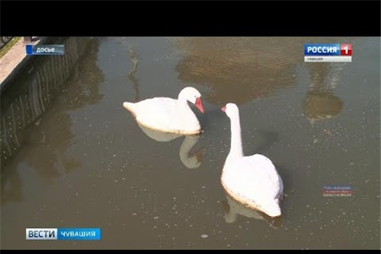 Названы победители конкурса на лучшее озеленение и благоустройство населенных пунктов