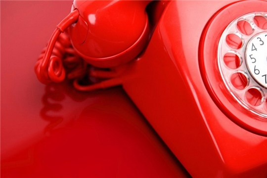 В Управлении Росреестра по Чувашской Республике 10 октября 2019 года пройдет телефонная линия