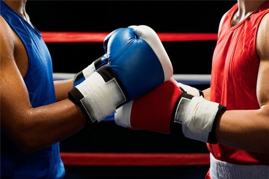 В Алатыре пройдёт открытый турнир по боксу, посвящённый 75-летию Великой Победы