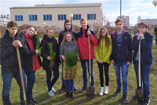 Алатырь принял участие во Всероссийской осенней акции «Живи лес!»