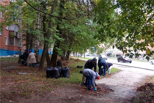 В Ленинском районе продолжаются осенние экологические мероприятия