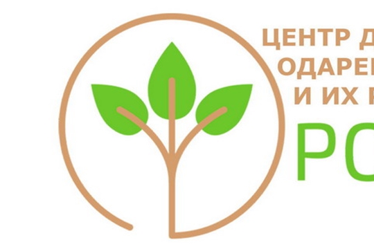 В Центре «РОСТ» прошло занятие по направлению научно-исследовательской деятельности