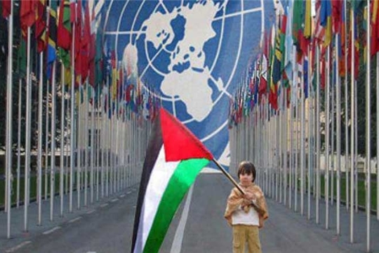 Международный день солидарности с Палестиной отметят в Доме Дружбы народов Чувашии