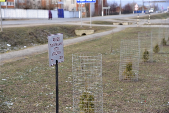 В поселке Ибреси открыта Аллея Памяти ветеранов футбола и волейбола