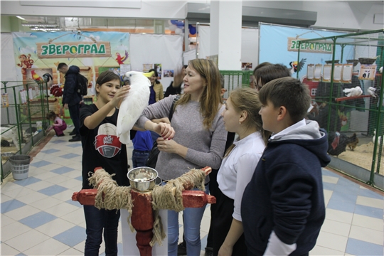 Как прекрасен этот мир