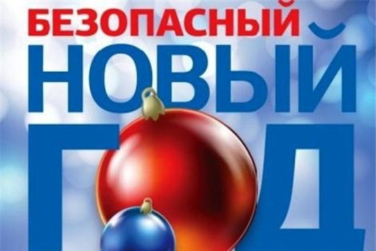 Какие правила нужно соблюдать, чтобы Новый год прошел без происшествий