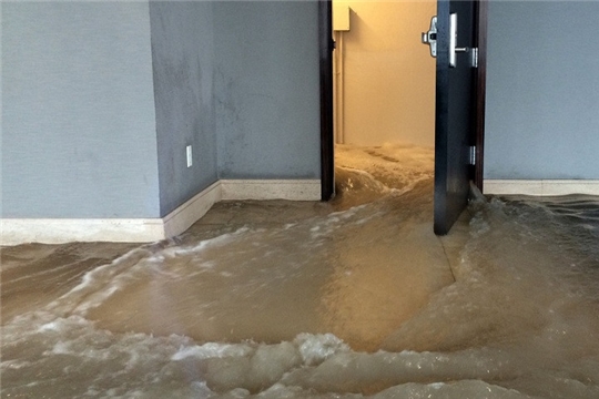 Что делать, если вашу квартиру затопили?