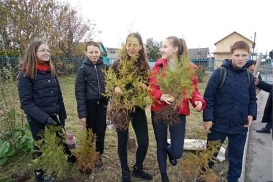 Осенняя акция «Живи, лес!» в Караклинской школе