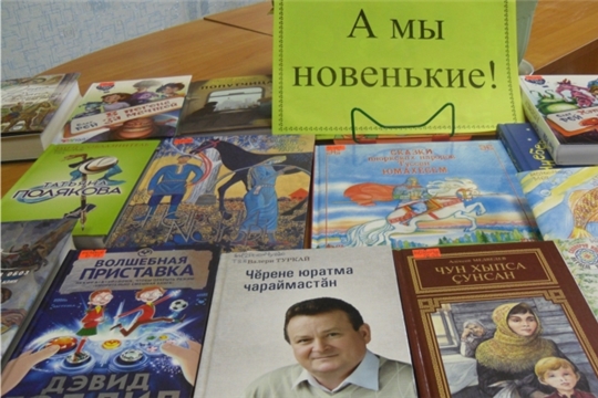 В Заднеяндоушской сельской библиотеке организована книжная выставка «А мы новенькие!»