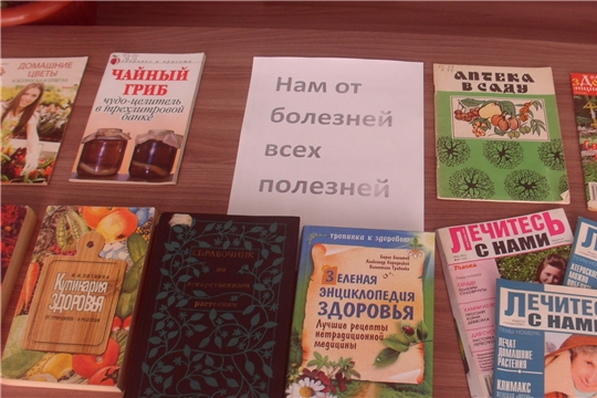 В Вутабосинской сельской библиотеке в рамках Недели молодёжной книги