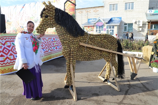 II районный фестиваль картошки «Ах, улмаçăм-çĕрулми!» /«Картофельный разгуляй»/ и сельскохозяйственная ярмарка «Дары осени – 2019» (фоторепортаж №2)