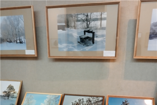 Подведены итоги районного фотоконкурса «Кабы не было зимы»