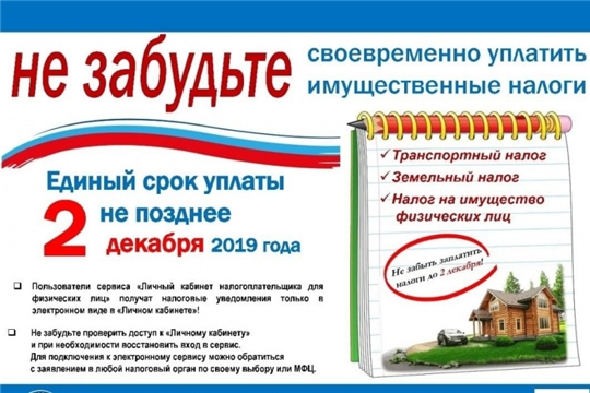 Срок уплаты имущественных налогов физическими лицами в 2019 году — 2 декабря