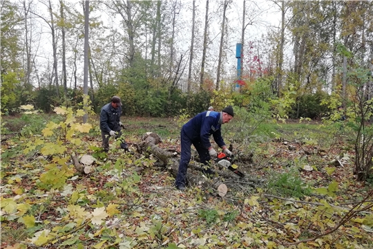 Красночетайский район присоединился к всероссийской акции «Сохраним лес»