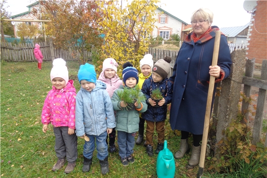 В детском саду "Рябинушка" прошла экологическая акция «Посадим деревья»