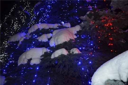 В Мариинско-Посадском районе стартует конкурс на лучшее световое оформление и благоустройство «Рождественское сияние»  