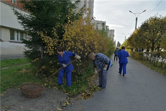 Сотрудники Городского клинического центра вышли на субботник