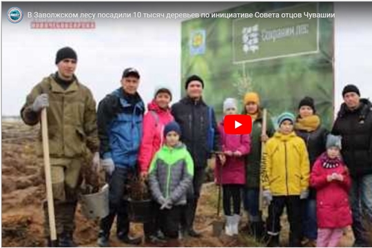 В Заволжском лесу посадили 10 тысяч деревьев по инициативе Совета отцов Чувашии (Новочебоксарское кабельное телевидение)