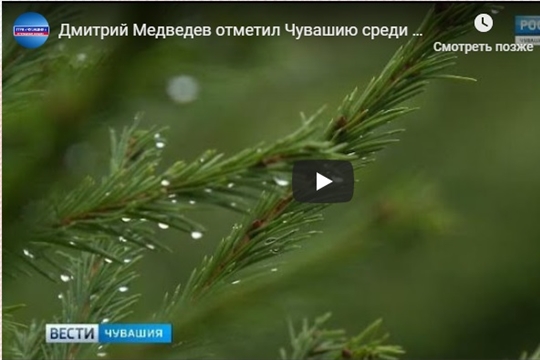 Дмитрий Медведев отметил Чувашию среди пяти регионов-лидеров по охране лесов (ГТРК "Чувашия")