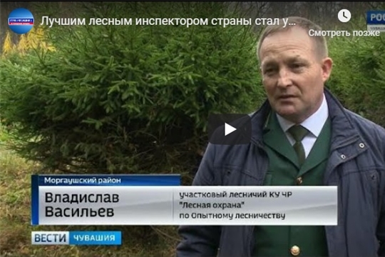 Лучшим лесным инспектором страны стал участковый лесничий из Моргаушского района