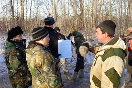 В преддверии новогодних праздников в Мариинско-Посадском лесничестве стартовала операция «Ель»