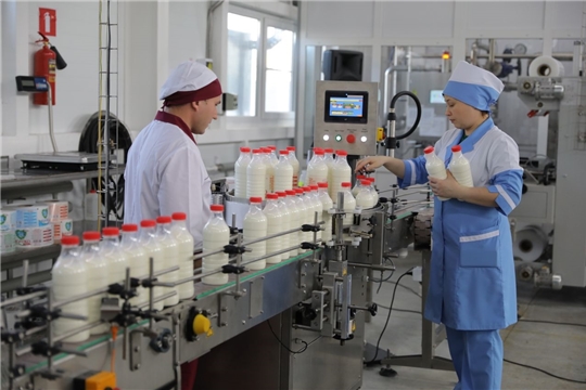 Глава Чувашии Михаил Игнатьев в Янтиковском районе посетил новый производственный цех ООО «АККОНДМОЛОКО»