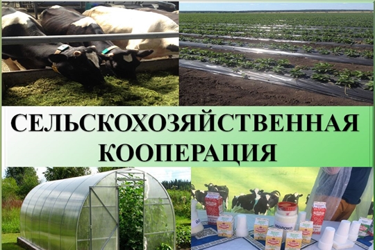 Обучение основам деятельности сельскохозяйственных потребительских кооперативов