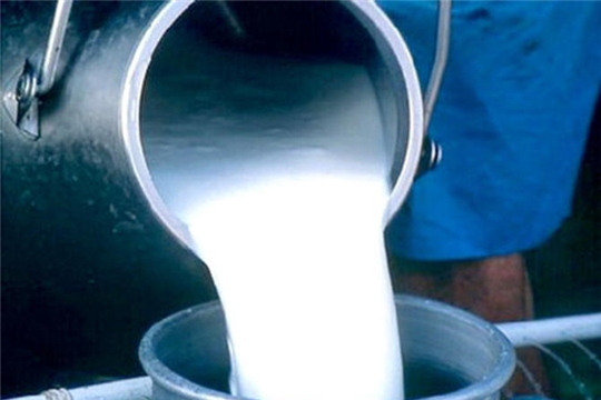 Средняя закупочная цена на сырое молоко от населения в республике составляет 20,1 руб. за 1 литр