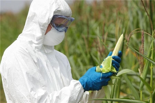 Законопроект о наделении Россельхознадзора правом контроля пестицидов согласован