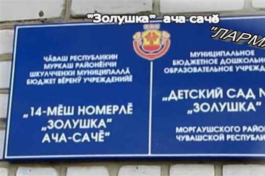 Золушка ача саче "Лармара"