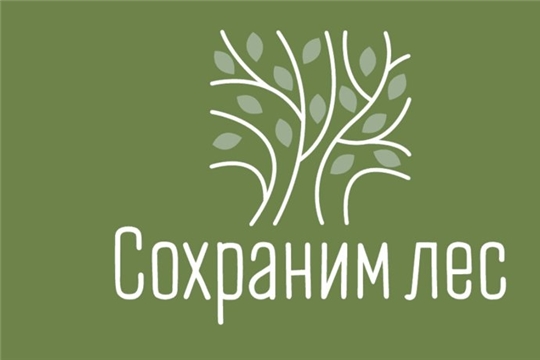 В Заволжье пройдет Всероссийская акция «Сохраним лес»