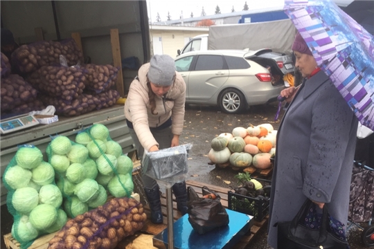 Итоги месячника по реализации сельскохозяйственной продукции «Дары осени» в Московском районе г. Чебоксары