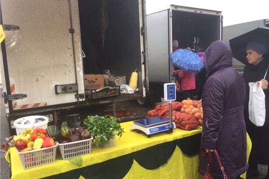 Итоги месячника по реализации сельскохозяйственной продукции «Дары осени» в Московском районе г. Чебоксары