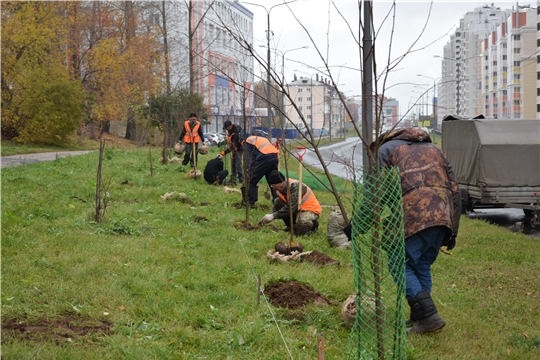 Шупашкарта экологи уйăхлăхĕ пырать