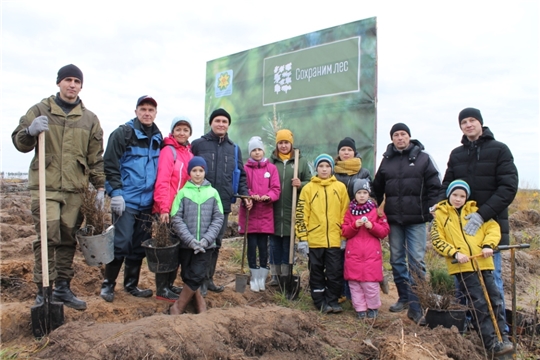 Более тысячи деревьев посадили волонтеры Чебоксарской ГЭС на месте лесных пожаров в Заволжье