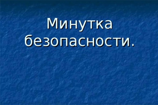 "Минутка безопасности" для юных участников дорожного движения