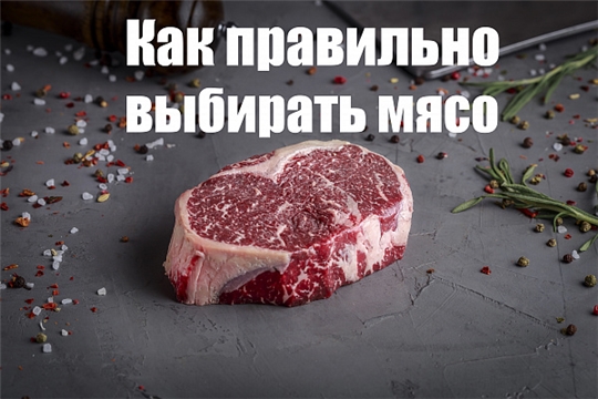 Памятка при выборе мяса