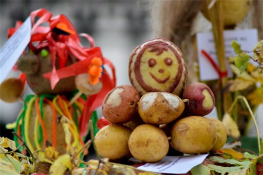 17 октября в районном центре села Комсомольское состоится II районный фестиваль картошки «Ах улмаçӑм-çĕрулми» (Картофельный разгуляй)