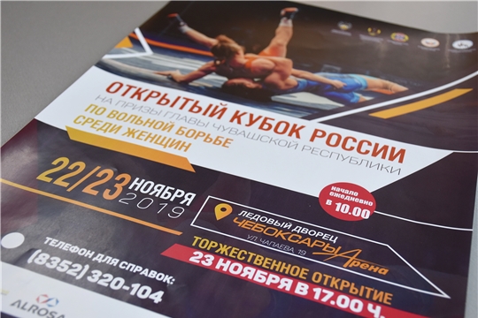 В Минспорта Чувашии обсудили подготовку к Кубку России по женской вольной борьбе