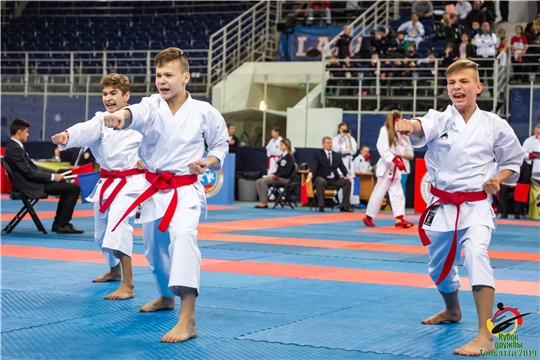 Всероссийские соревнования по каратэ WKF "Кубок Дружбы" в Тольятти