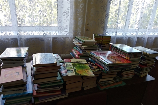 В Чубаевской сельской библиотеке приобретены новая техника, мебель и книги