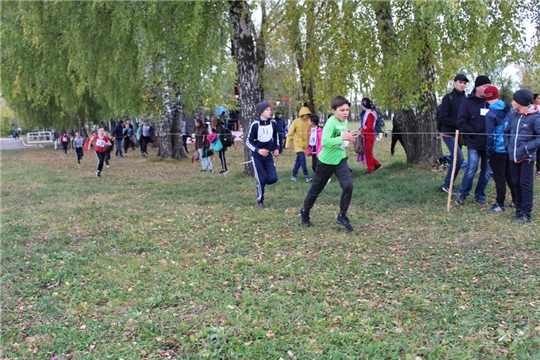 В Урмарах состоялись республиканские соревнования по легкоатлетическому кроссу памяти Н.И. Пуклакова