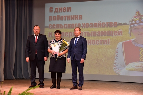 Итоги сельскохозяйственных работ подвели в Ибресинском районе